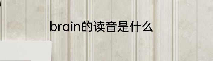 brain的读音是什么