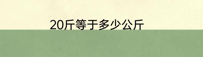 20斤等于多少公斤