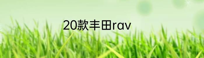 20款丰田rav