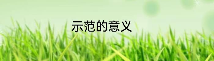 示范的意义