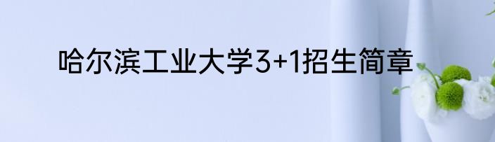 哈尔滨工业大学3+1招生简章