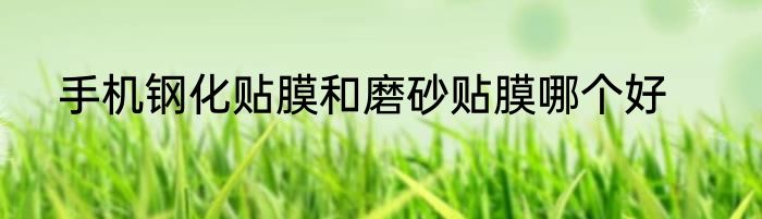 手机钢化贴膜和磨砂贴膜哪个好