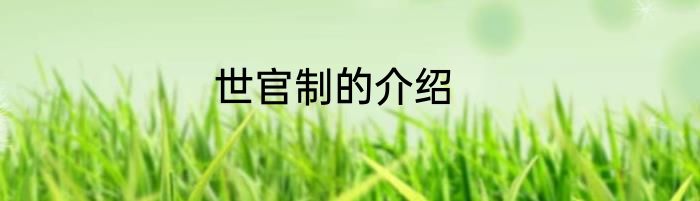 世官制的介绍