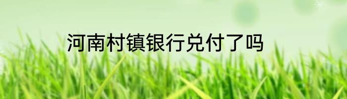 河南村镇银行兑付了吗