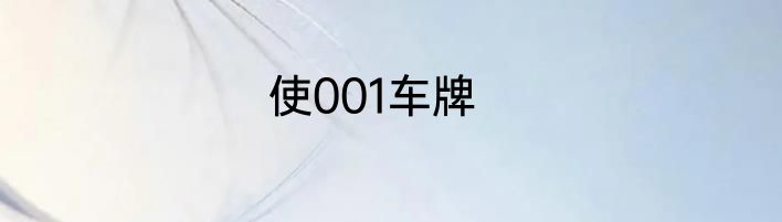 使001车牌