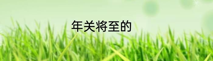 年关将至的