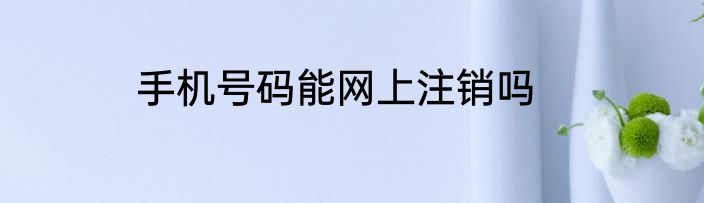 手机号码能网上注销吗