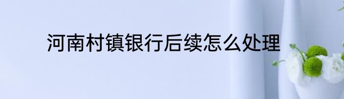 河南村镇银行后续怎么处理