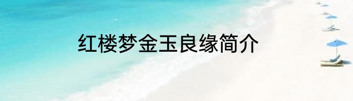 红楼梦金玉良缘简介