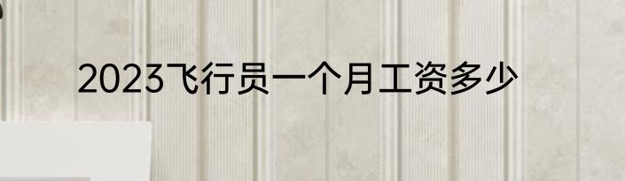 2023飞行员一个月工资多少