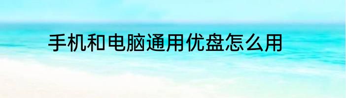 手机和电脑通用优盘怎么用