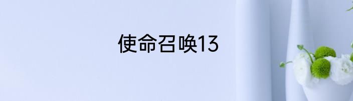 使命召唤13
