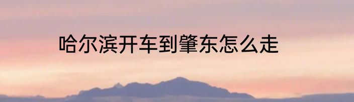 哈尔滨开车到肇东怎么走
