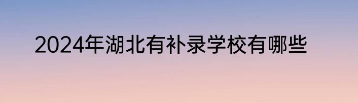 2024年湖北有补录学校有哪些