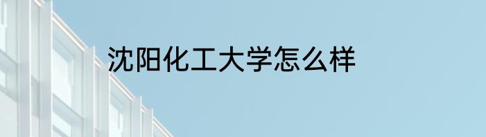 沈阳化工大学怎么样
