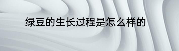 绿豆的生长过程是怎么样的