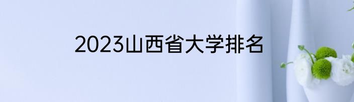 2023山西省大学排名