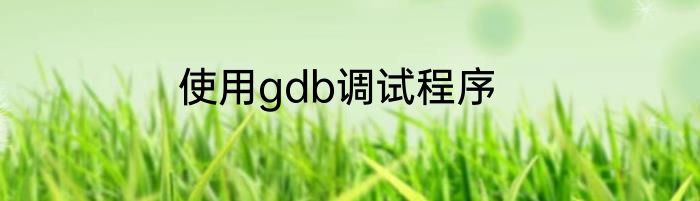 使用gdb调试程序