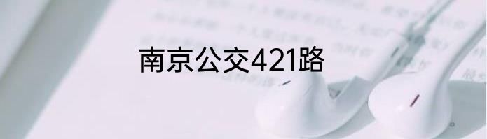 南京公交421路