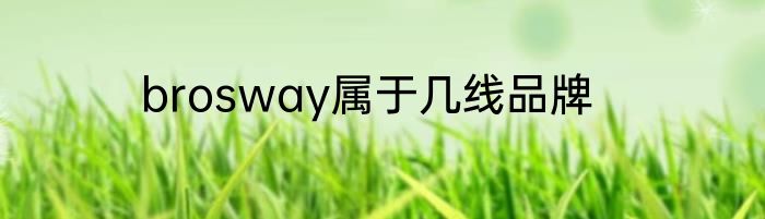 brosway属于几线品牌