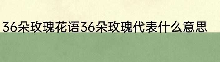 36朵玫瑰花语36朵玫瑰代表什么意思
