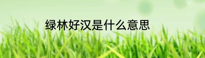 绿林好汉是什么意思