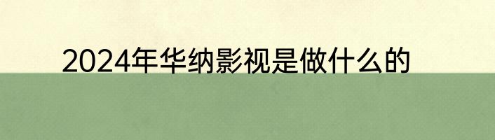 2024年华纳影视是做什么的