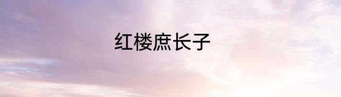 红楼庶长子