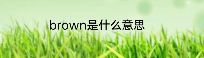brown是什么意思