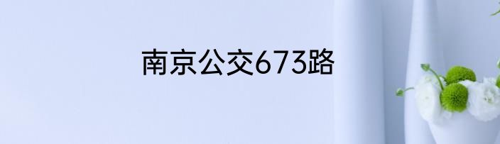 南京公交673路