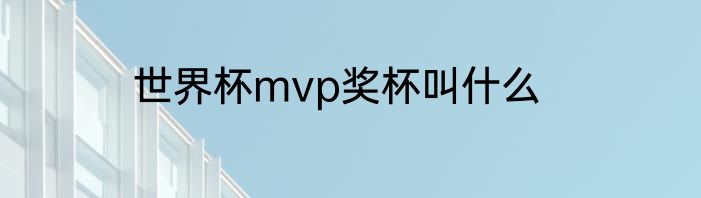 世界杯mvp奖杯叫什么