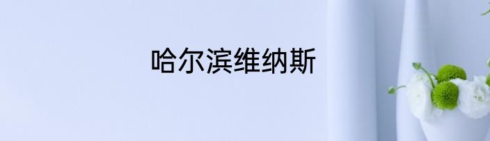 哈尔滨维纳斯