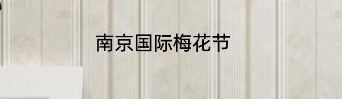 南京国际梅花节