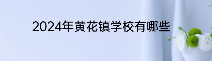 2024年黄花镇学校有哪些