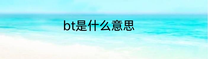 bt是什么意思