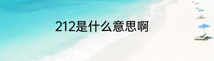 212是什么意思啊