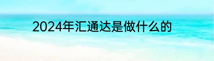 2024年汇通达是做什么的