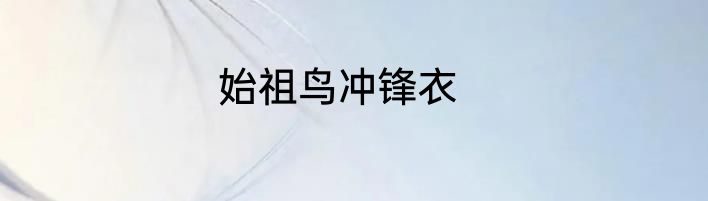 始祖鸟冲锋衣