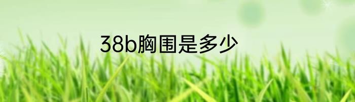 38b胸围是多少