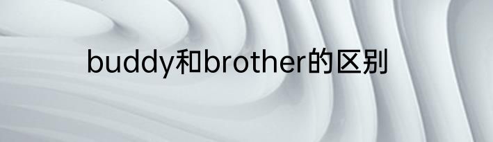buddy和brother的区别