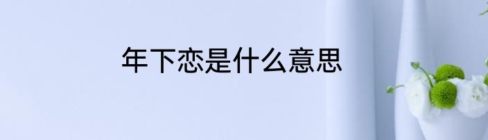 年下恋是什么意思