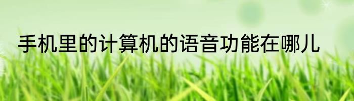 手机里的计算机的语音功能在哪儿