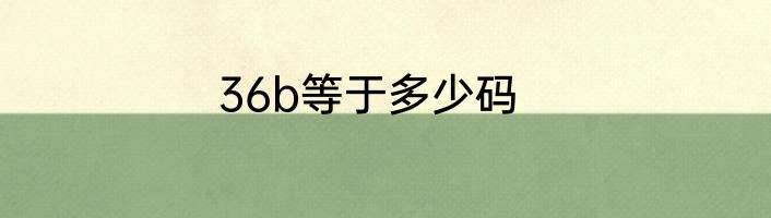 36b等于多少码