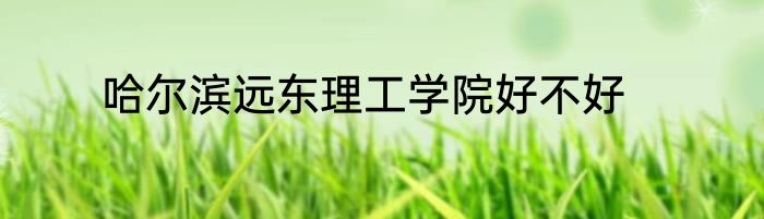 哈尔滨远东理工学院好不好