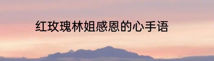 红玫瑰林姐感恩的心手语