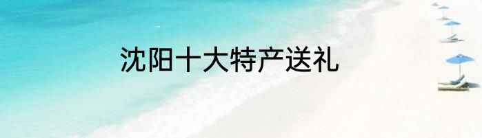 沈阳十大特产送礼