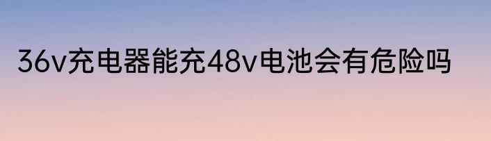 36v充电器能充48v电池会有危险吗