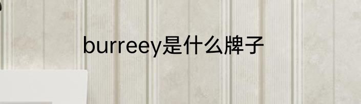 burreey是什么牌子