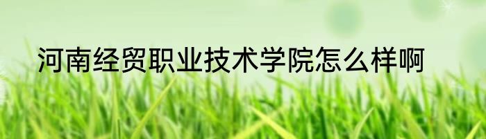 河南经贸职业技术学院怎么样啊