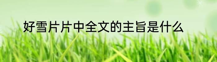好雪片片中全文的主旨是什么